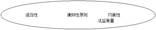 椭圆: 适当性 谦抑性原则 均衡性
法益衡量