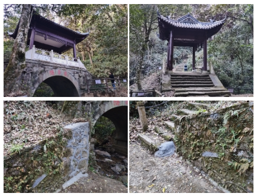 ������������ǧ����Ż�����?